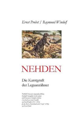 Book cover for Nehden