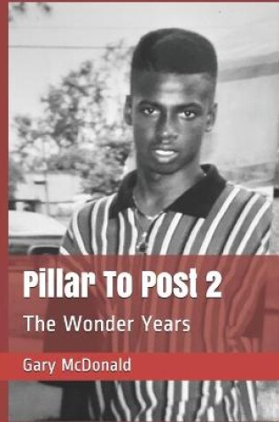 Cover of Pillar To Post 2