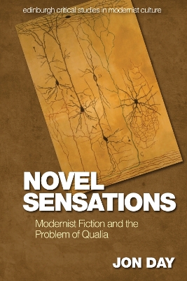 Book cover for Novel Sensations