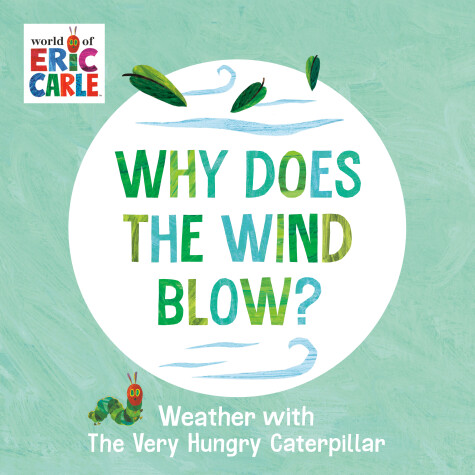 Book cover for Why Does the Wind Blow?