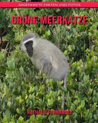 Book cover for Grüne Meerkatze