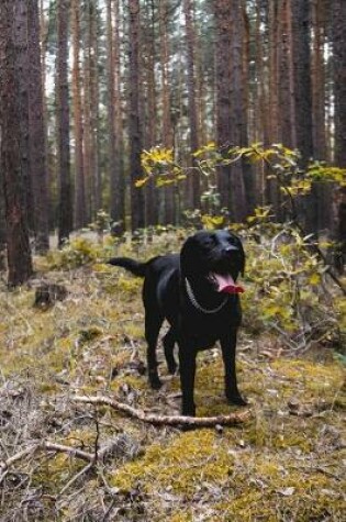 Cover of Happy Black Lab in the Forest