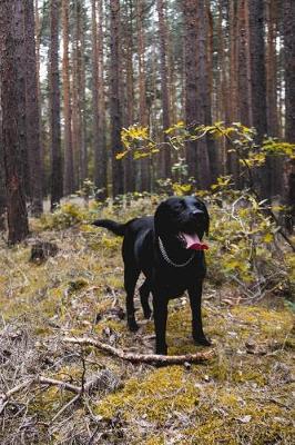 Book cover for Happy Black Lab in the Forest