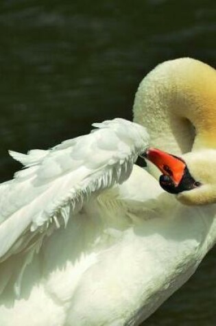 Cover of Swan and her Plumage Journal