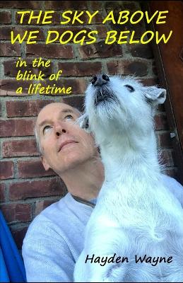 Book cover for The Sky Above We Dogs Below-In the Blink of a Lifetime