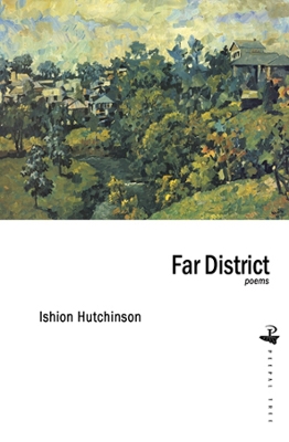 Book cover for Far District