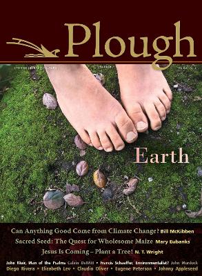 Book cover for Plough Quarterly No. 4