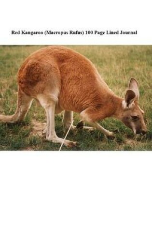 Cover of Red Kangaroo (Macropus Rufus) 100 Page Lined Journal