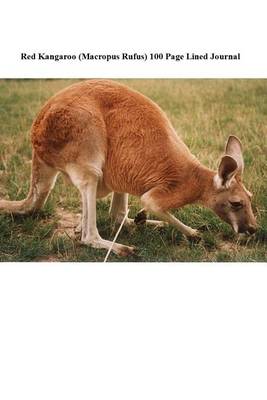 Book cover for Red Kangaroo (Macropus Rufus) 100 Page Lined Journal