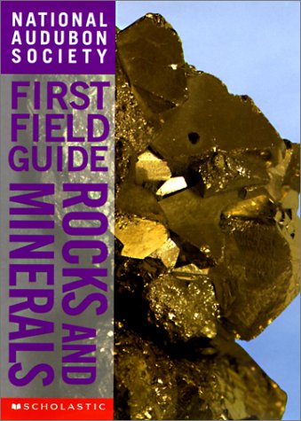 Book cover for Rocks and Minerals