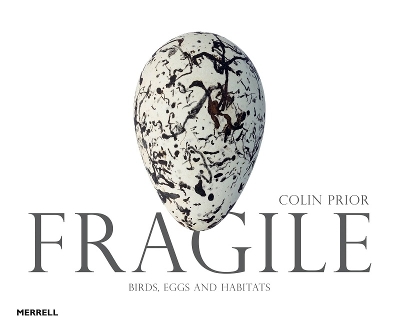 Book cover for Fragile: Birds, Eggs & Habitats