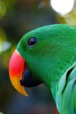 Book cover for Beautiful Green Eclectus Parrot Profile Journal