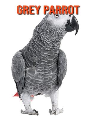 Book cover for Grey Parrot