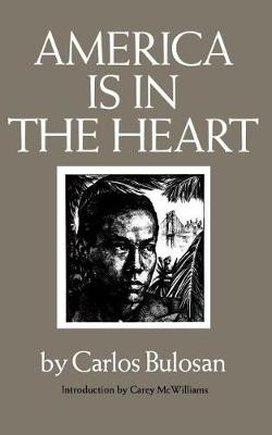 Book cover for America Is in the Heart