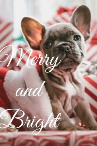 Cover of Merry and Bright