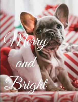 Book cover for Merry and Bright