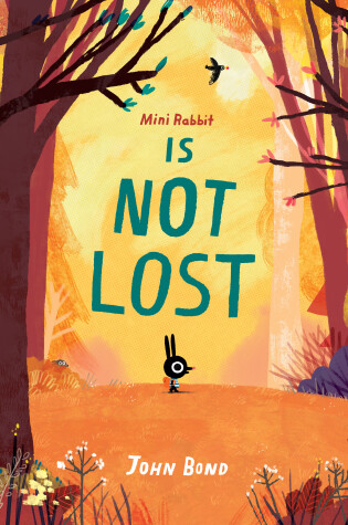 Cover of Mini Rabbit Is Not Lost
