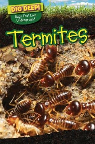 Cover of Termites