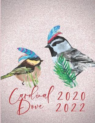 Book cover for 2020-2022 3 Year Planner Cardinal Dove Monthly Calendar Goals Agenda Schedule Organizer