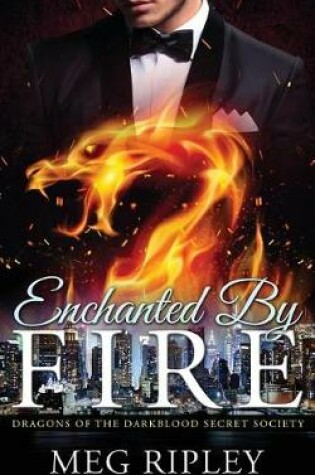 Cover of Enchanted by Fire