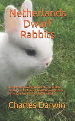 Book cover for Netherlands Dwarf Rabbits