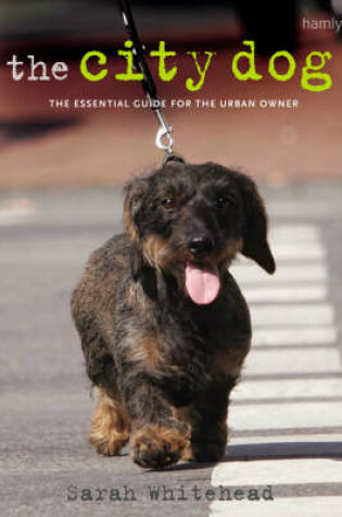 Cover of The City Dog