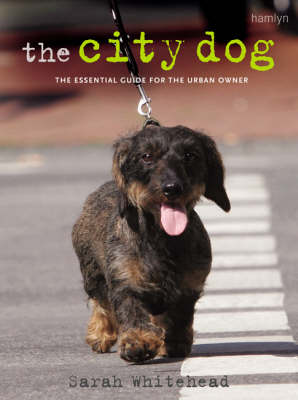 Book cover for The City Dog