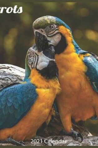 Cover of Parrots 2021 Calendar