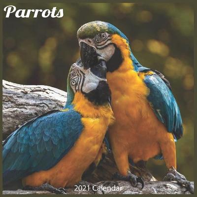 Book cover for Parrots 2021 Calendar