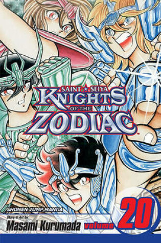 Cover of Knights of the Zodiac (Saint Seiya), Vol. 20