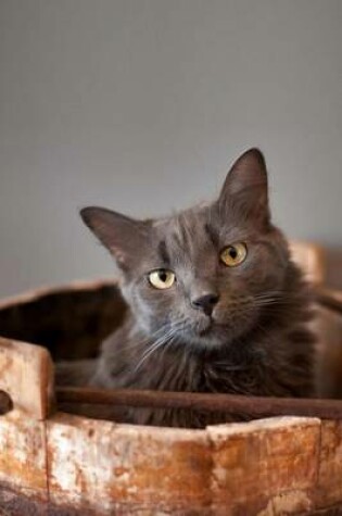 Cover of The Nebelung Cat Journal "So I Like Buckets. Don't Judge Me."