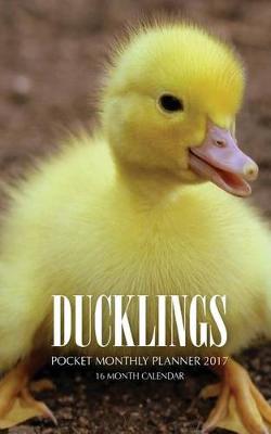 Book cover for Ducklings Pocket Monthly Planner 2017