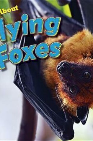 Cover of All about Flying Foxes