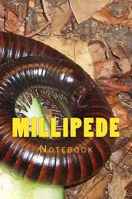 Book cover for Millipede