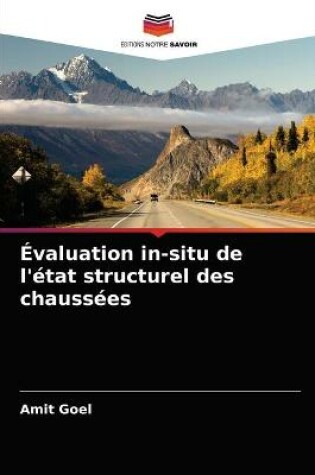 Cover of Evaluation in-situ de l'etat structurel des chaussees