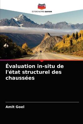 Book cover for Evaluation in-situ de l'etat structurel des chaussees