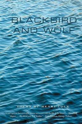 Book cover for Blackbird and Wolf