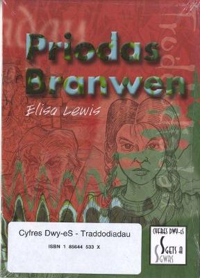 Book cover for Cyfres Dwy-Es - Sgets a Sgwrs: Pecyn 5 - Traddodiadau