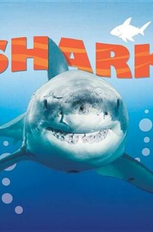 Cover of Shark