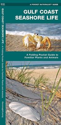 Book cover for Gulf Coast Seashore Life
