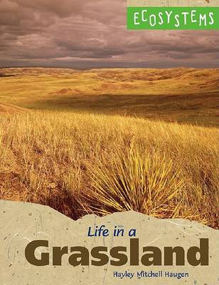 Book cover for Life in a Grassland