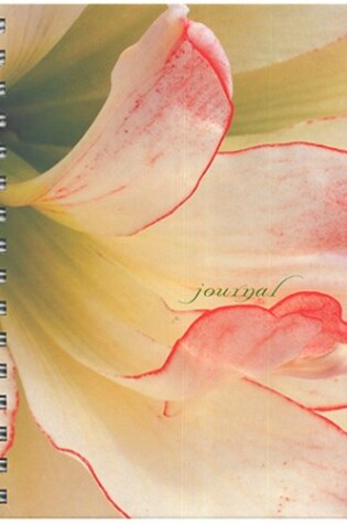 Cover of Amaryllis Wire-0 Bound Journal