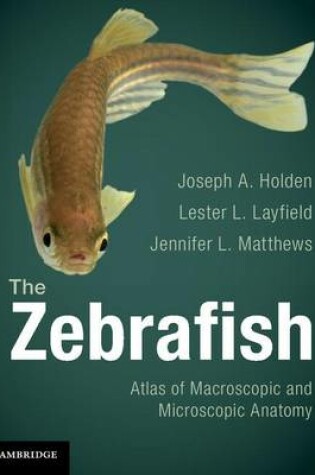 Cover of The Zebrafish