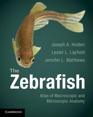 Book cover for The Zebrafish