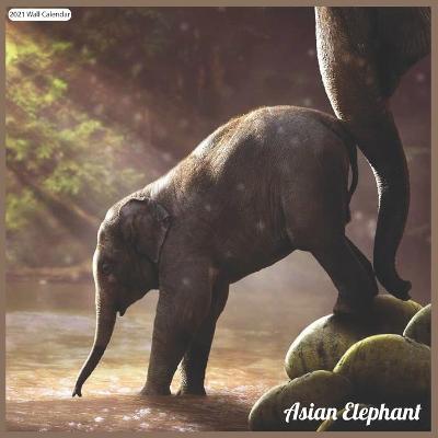 Book cover for Asian Elephant 2021 Wall Calendar