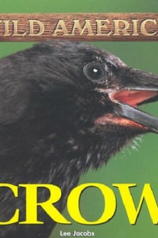 Cover of Crow