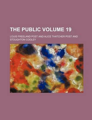 Book cover for The Public Volume 19