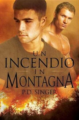 Cover of Un Incendio in Montagna