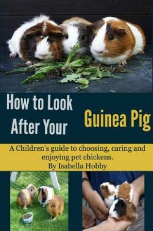 Cover of How to Look After Your Guinea Pig