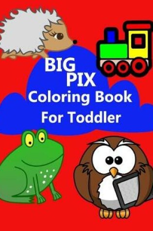 Cover of Big Pix Coloring Book for Toddler